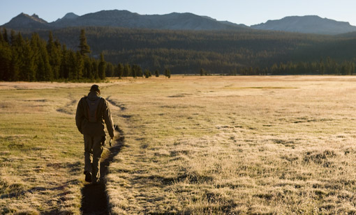 Tuolumne Meadows at Sunrise